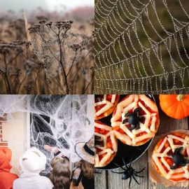 4 pics 1 word Daily puzzle October 15 2022