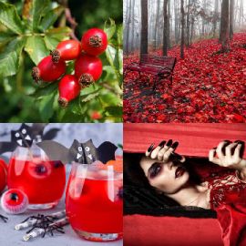 4 pics 1 word Daily puzzle October 2 2022