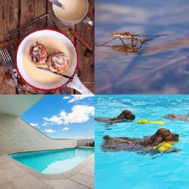 4 pics 1 word Daily puzzle July 5 2016