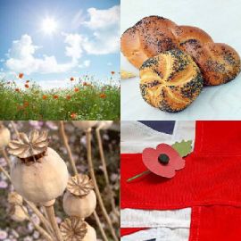 4 pics 1 word Daily puzzle June 17 2016