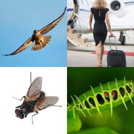 4 pics 1 word Daily puzzle September 25 2016
