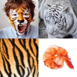 4 pics 1 word Daily puzzle June 27 2017