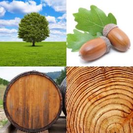 4 pics 1 word Daily puzzle July 4 2017