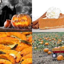 4 pics 1 word Daily puzzle October 6 2017