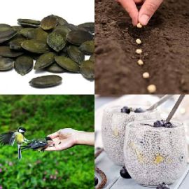 4 pics 1 word Daily puzzle August 7 2017