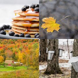4 pics 1 word Daily puzzle September 14 2017