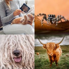 4 pics 1 word Daily puzzle April 6 2023