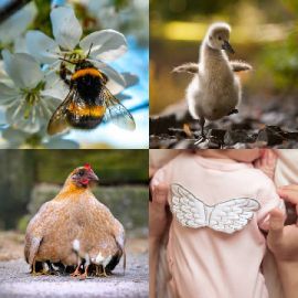 4 pics 1 word Daily puzzle April 10 2023