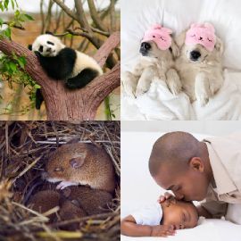 4 pics 1 word Daily puzzle April 27 2023