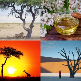 4 pics 1 word Daily puzzle September 30 2020
