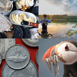 4 pics 1 word Daily puzzle August 12 2020
