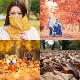 4 pics 1 word Daily puzzle October 7 2022