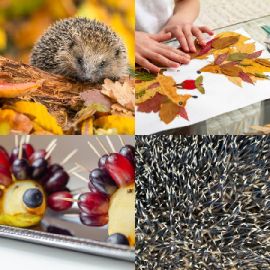 4 pics 1 word Daily puzzle October 1 2022