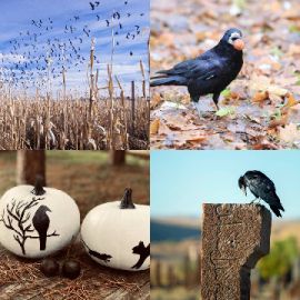 4 pics 1 word Daily puzzle October 28 2022