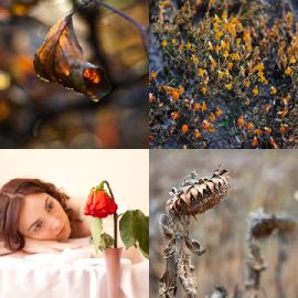 4 pics 1 word Daily puzzle October 30 2022
