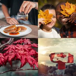 4 pics 1 word Daily puzzle October 3 2022