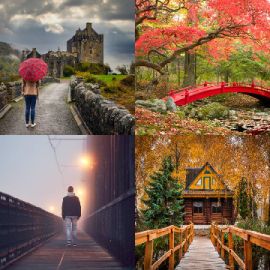 4 pics 1 word Daily puzzle October 4 2022
