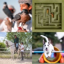 4 pics 1 word Daily puzzle February 24 2022