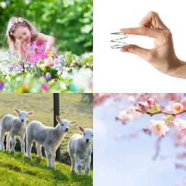 4 pics 1 word Daily puzzle July 15 2019