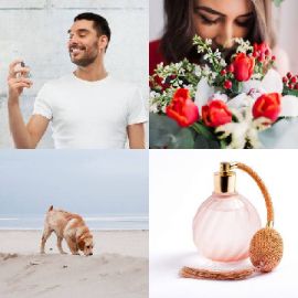 4 pics 1 word July 11 2019 Bonus puzzle