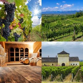 4 pics 1 word June 18 2019 Bonus puzzle