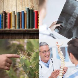 4 pics 1 word Daily puzzle May 2 2019