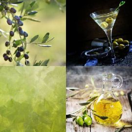 4 pics 1 word Daily puzzle May 24 2019