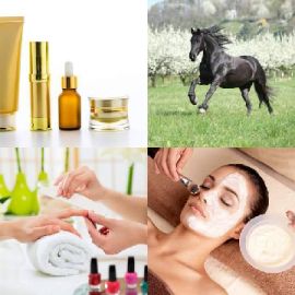 4 pics 1 word June 15 2019 Bonus puzzle