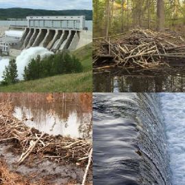 4 pics 1 word Daily puzzle March 13 2021