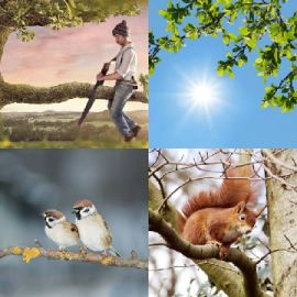 4 pics 1 word Daily puzzle March 3 2021
