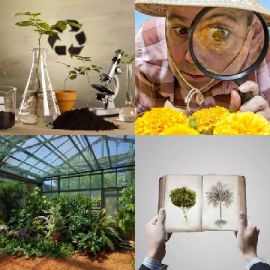 4 pics 1 word March 26 2021 Bonus puzzle