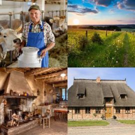 4 pics 1 word March 29 2021 Bonus puzzle