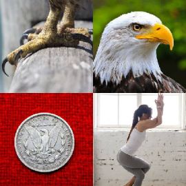 4 pics 1 word Daily puzzle July 4 2016