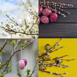 4 pics 1 word Daily puzzle April 8 2020