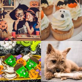 4 pics 1 word Daily puzzle October 15 2017