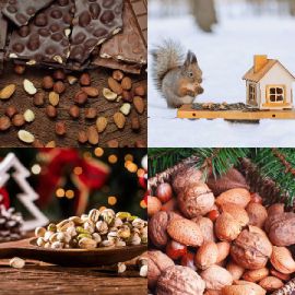 4 pics 1 word Daily puzzle December 10 2021