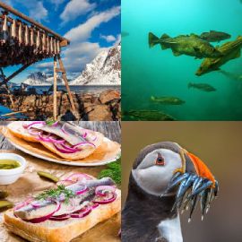 4 pics 1 word Daily puzzle January 16 2020