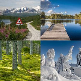 4 pics 1 word Daily puzzle January 26 2018
