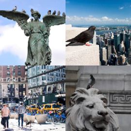 4 pics 1 word Daily puzzle January 26 2019