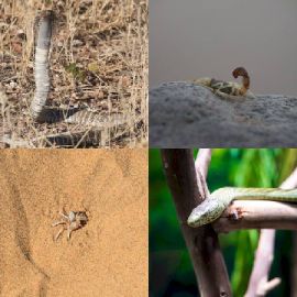 4 pics 1 word Daily puzzle June 16 2019