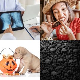 4 pics 1 word Daily puzzle October 8 2021