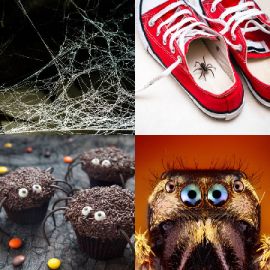 4 pics 1 word Daily puzzle October 22 2021