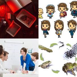 4 pics 1 word Daily puzzle February 27 2016