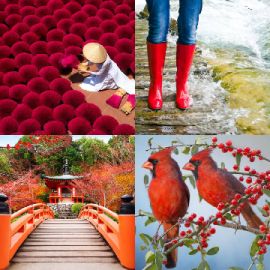 4 pics 1 word Daily puzzle March 3 2023