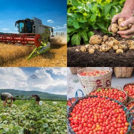 4 pics 1 word Daily puzzle May 10 2021