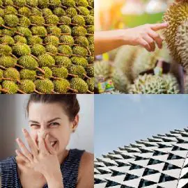 4 pics 1 word Daily puzzle August 31 2019