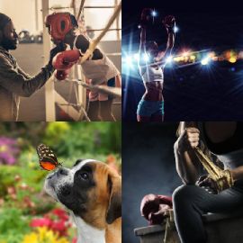 4 pics 1 word Daily puzzle July 15 2021