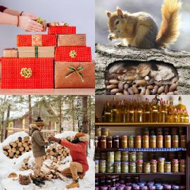 4 pics 1 word Daily puzzle December 29 2022