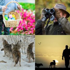 4 pics 1 word Daily puzzle April 22 2017