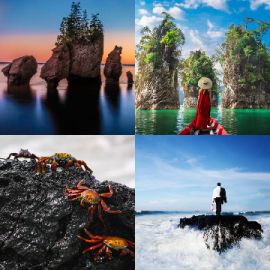 4 pics 1 word Daily puzzle June 15 2021